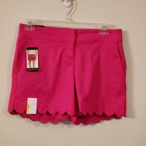 🌷The Limited Tailored Shorts size 8